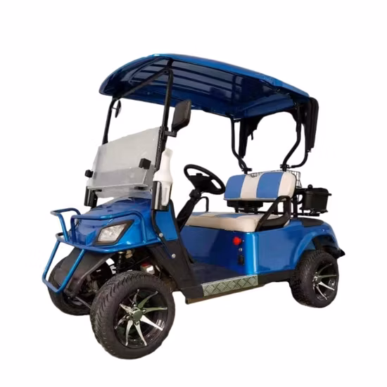 Chariots électriques pour 2 roues à gaz, lumières stroboscopiques, accessoires de voiture, décharge d'essence, cordon de chargeur 36V, axe Tempest Ss, 5 panneaux, 1 chariot de Golf